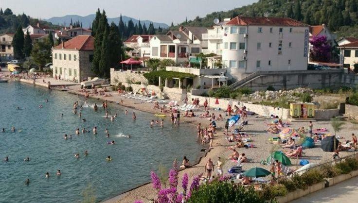 Villa Ante Apartments Blace Kültér fotó